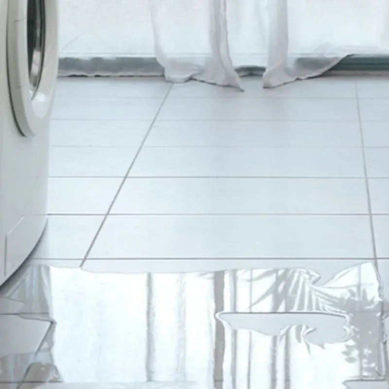 Appliance Leak Cleanup in Fruitdale, OR