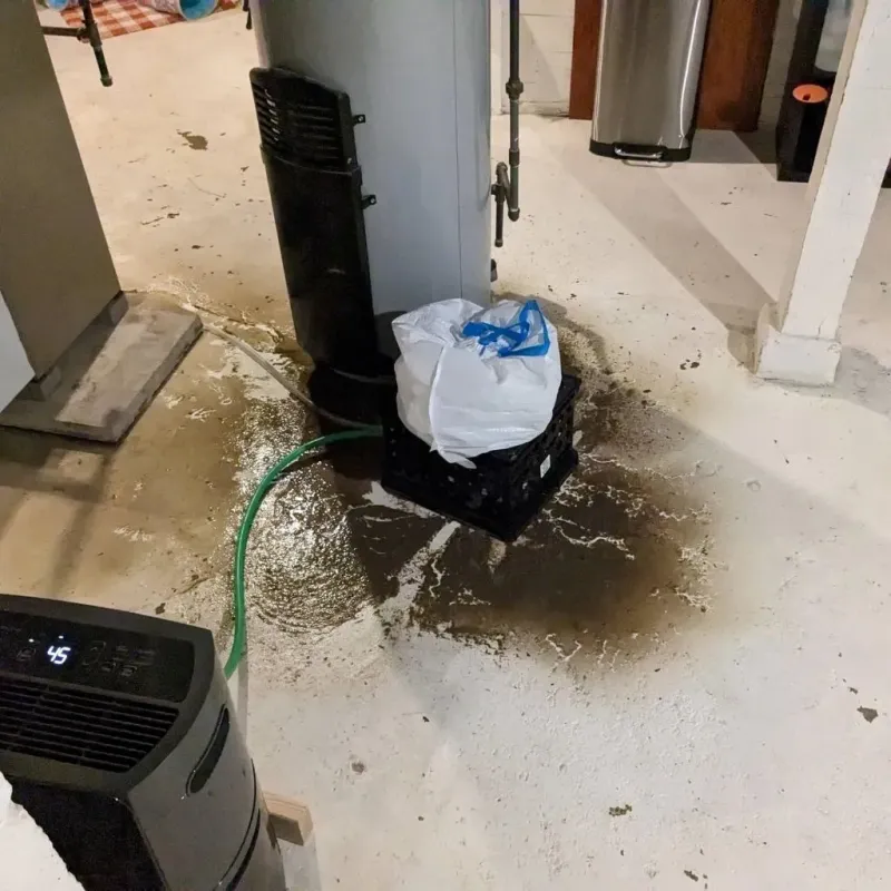 Sewage Backup Cleanup Service in Fruitdale, OR